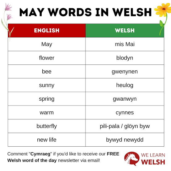Translate English to Welsh Words: Free Online Translator, Meanings and Examples