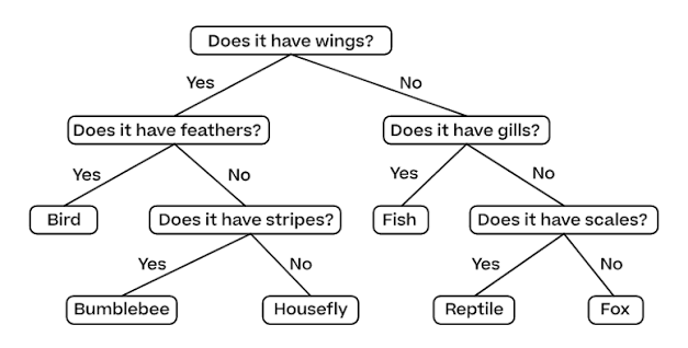 Classification Keys Year 4: Worksheets, Examples and KS2 Science Activities